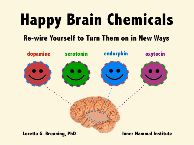 happy-brain-chemicals-dopamine-serotonin-oxytocin-and-endorphin-1-638