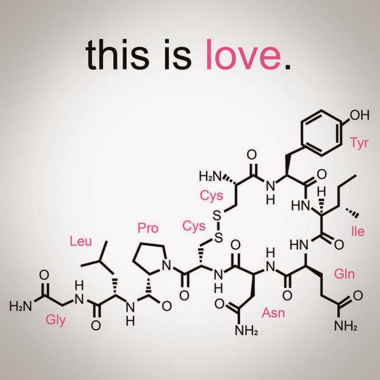 oxytocin