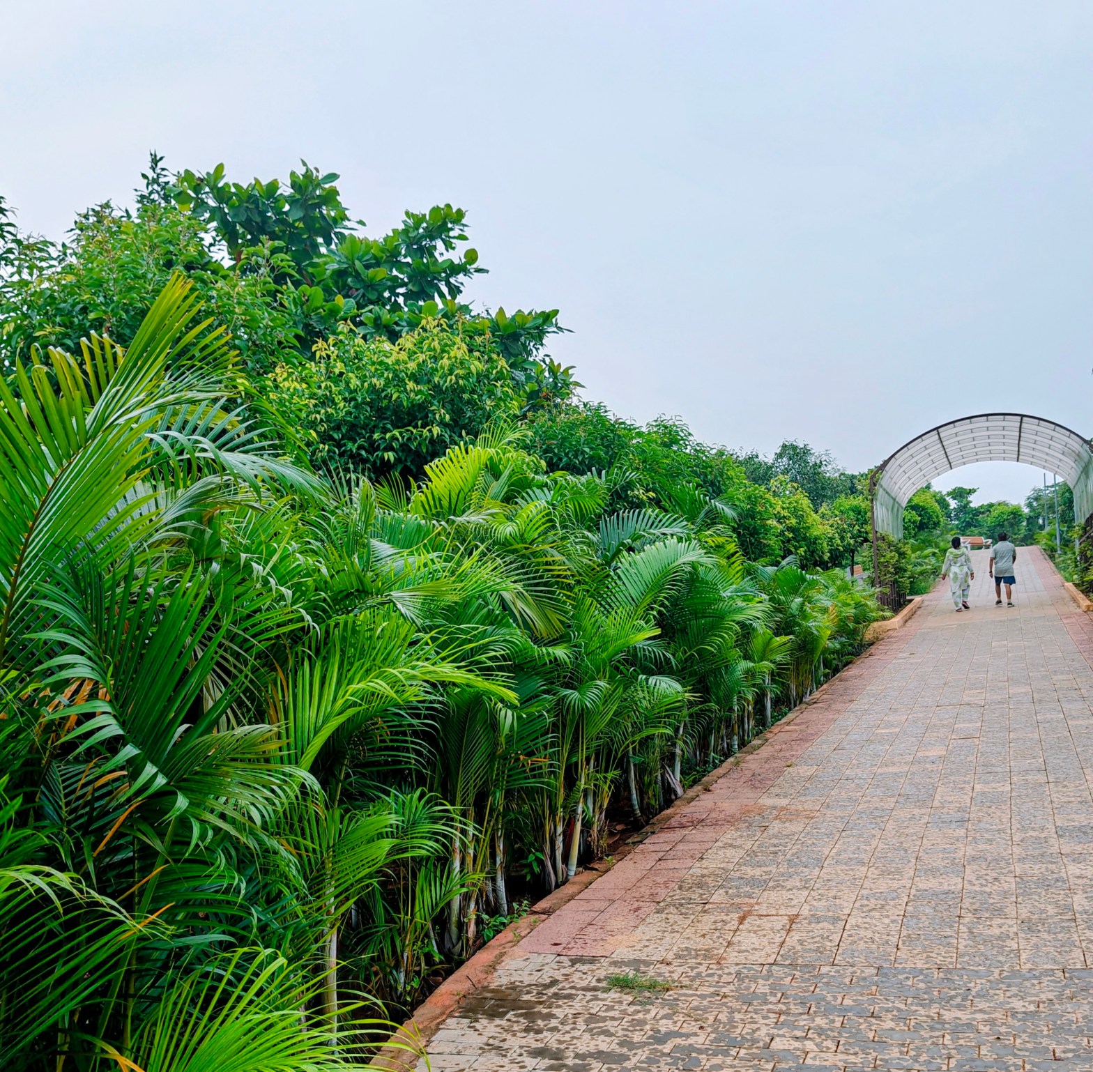 Rains in Buddha Park July 2026